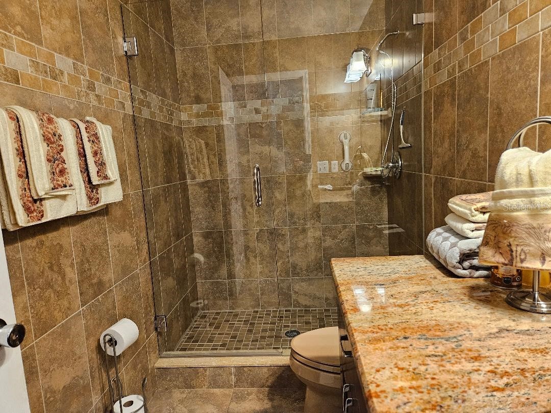 708 Brannen Circle Sun City Center FL 33573 TB8517141 image31
