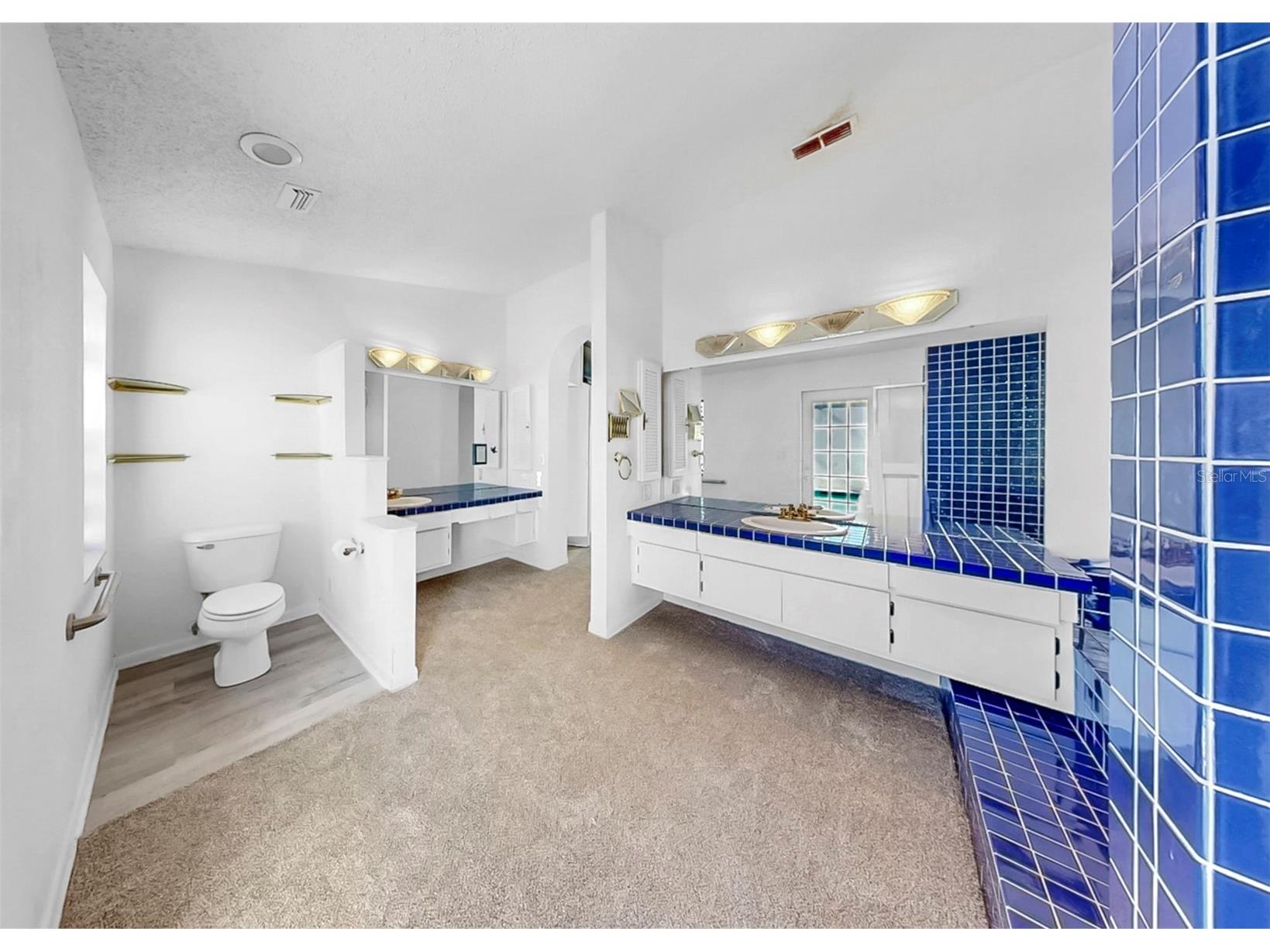 708 Dorado Court Brandon FL 33511 TB8473589 image30