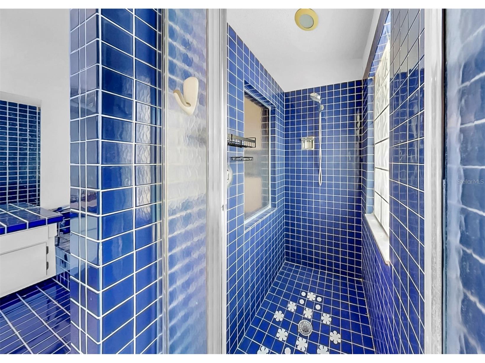708 Dorado Court Brandon FL 33511 TB8473589 image31