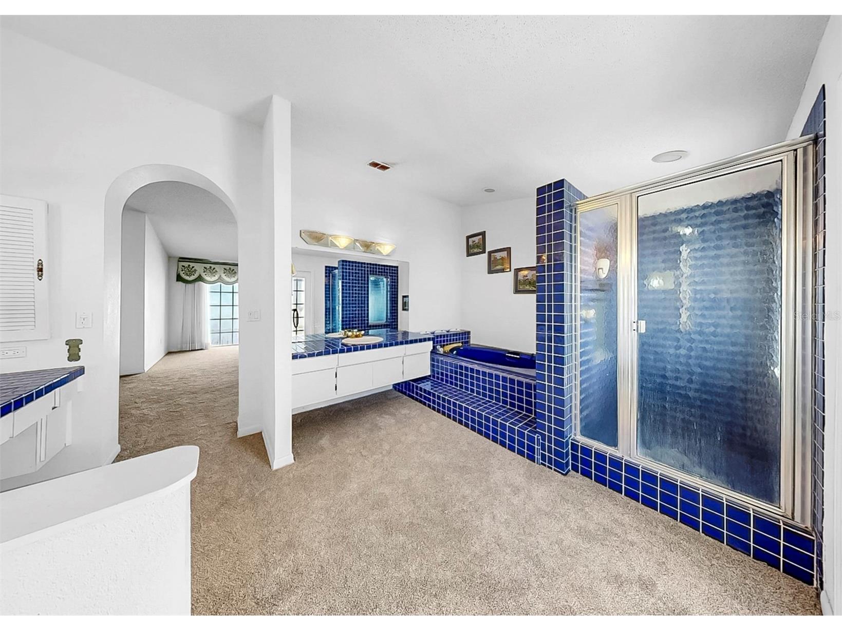 708 Dorado Court Brandon FL 33511 TB8473589 image32