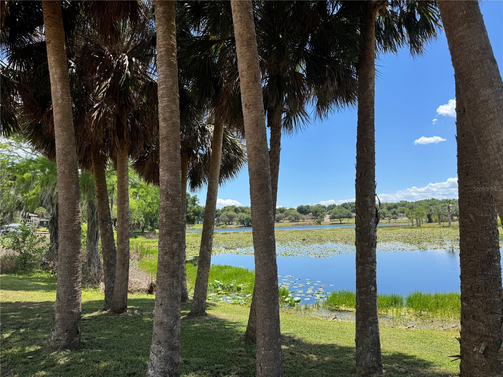 708 E Lemon Avenue Eustis FL 32726 G5111960 image65