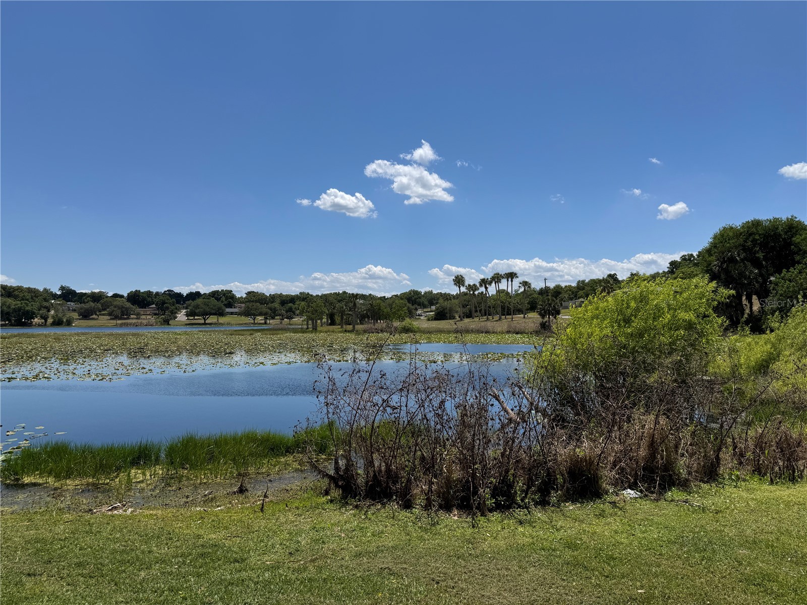708 E Lemon Avenue Eustis FL 32726 G5111960 image66