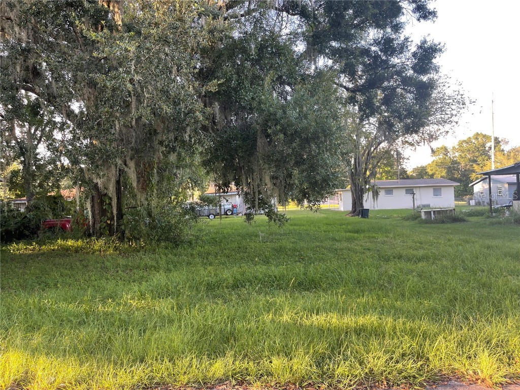 708 E Madison Street Plant City FL 33563 T3472689 image1