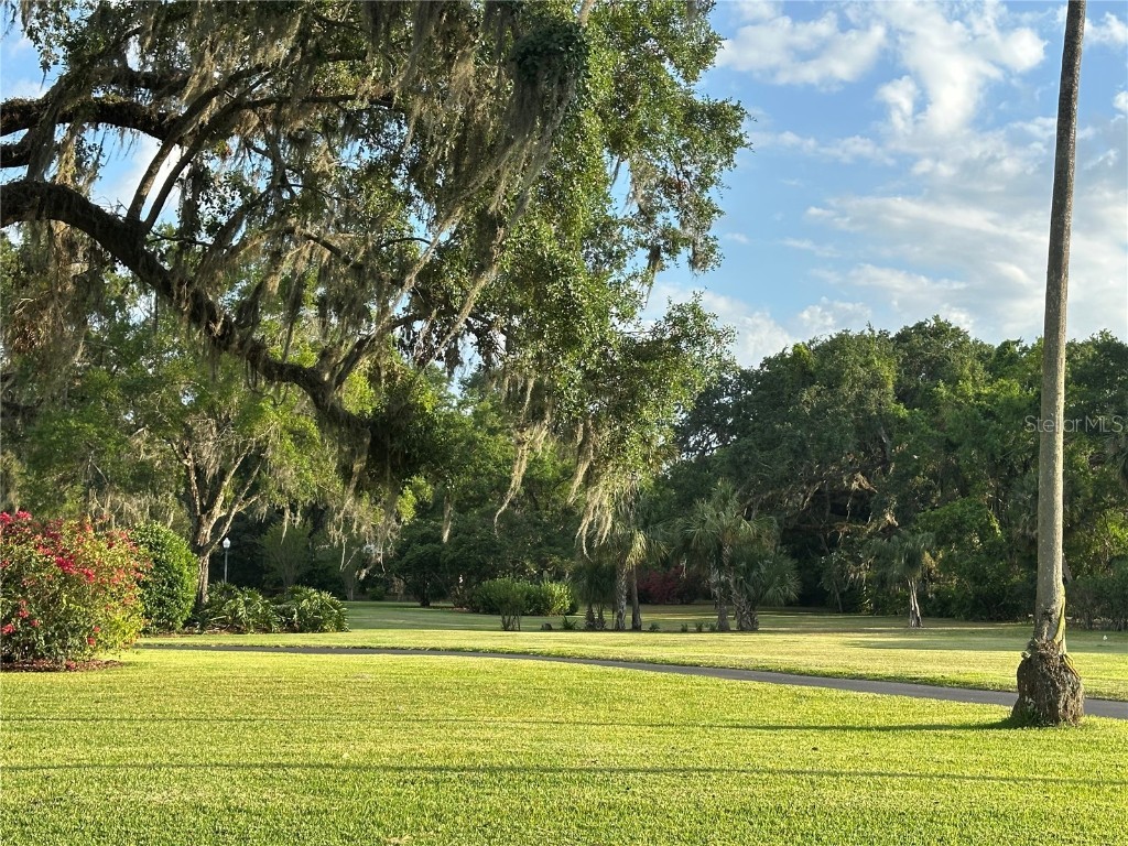 708 E Main Street Wauchula FL 33873 A4650467 image40