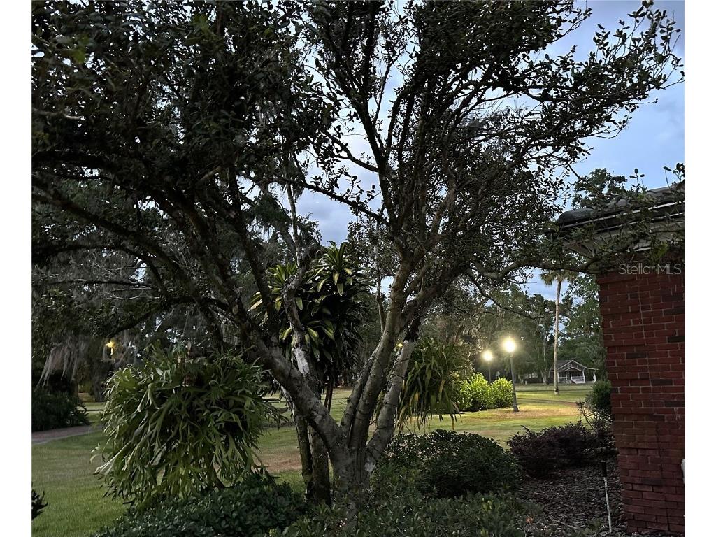 708 E Main Street Wauchula FL 33873 A4650467 image59