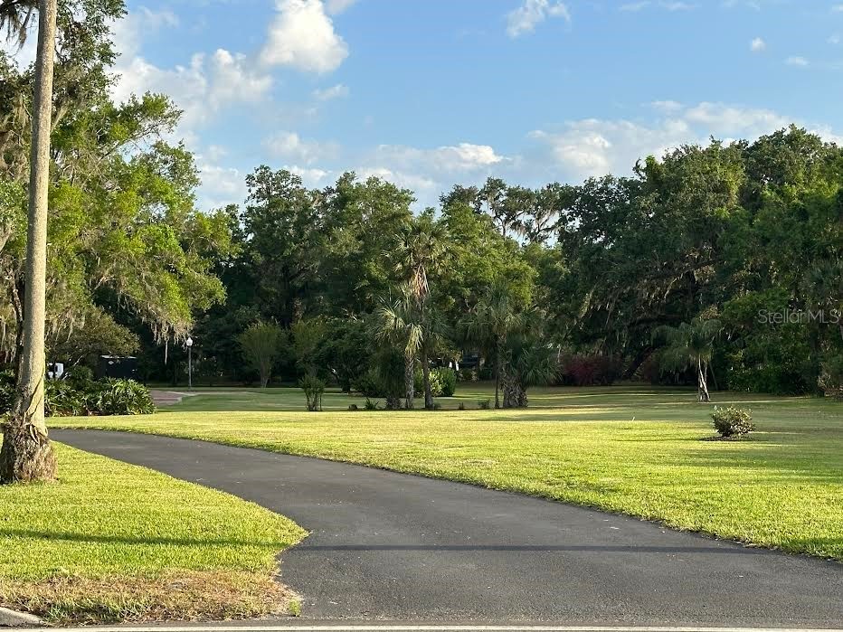 708 E Main Street Wauchula FL 33873 A4650467 image73