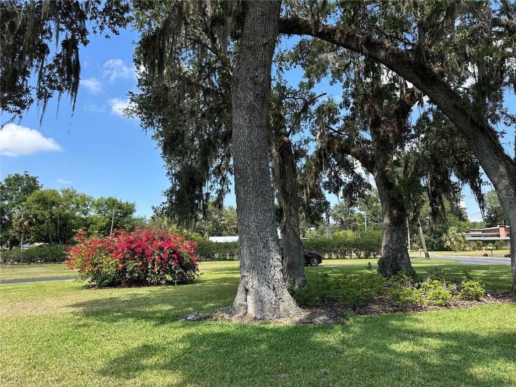 708 E Main Street Wauchula FL 33873 A4650467 image79