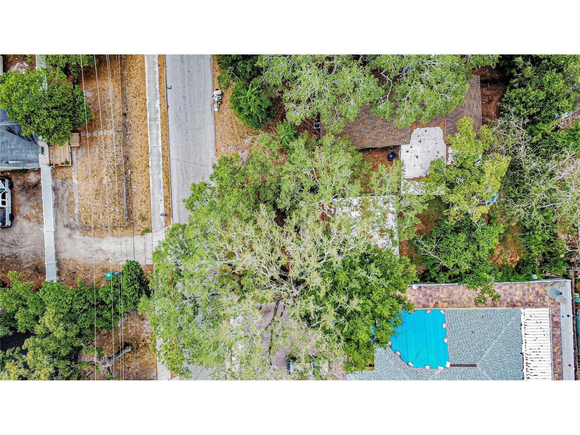 708 E Seneca Avenue Tampa FL 33612 O6427992 image14
