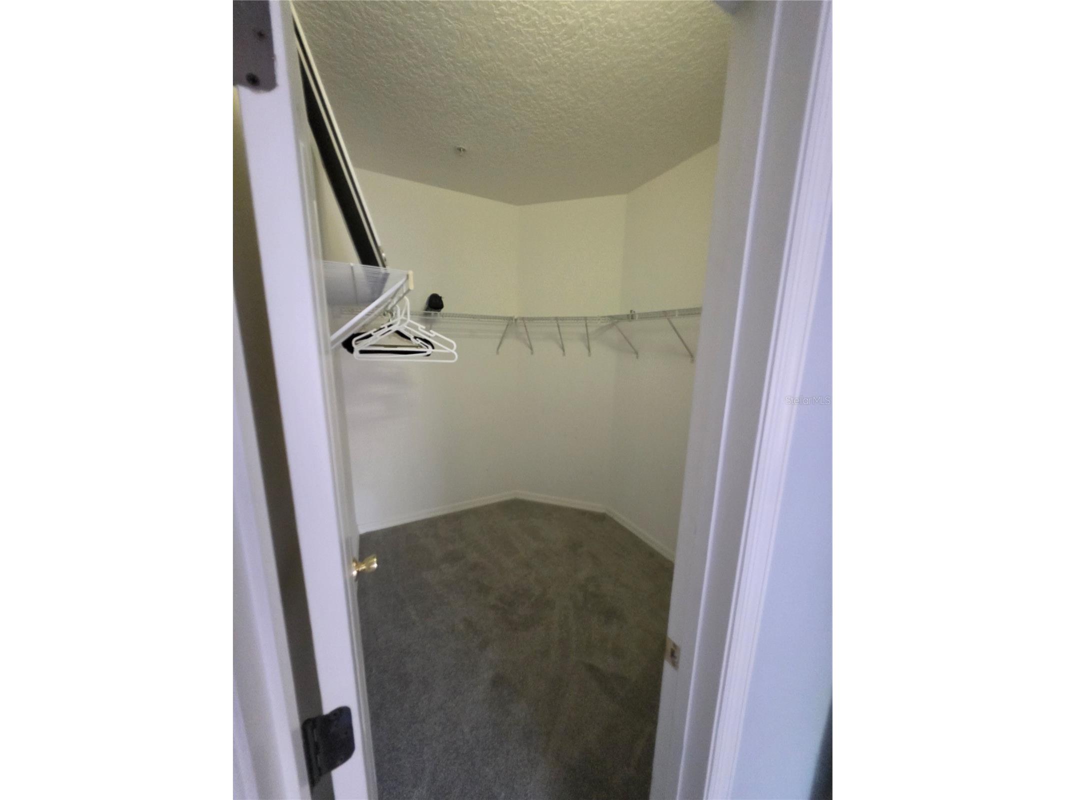 708 Fortanini Circle Ocoee FL 34761 G5110915 image28