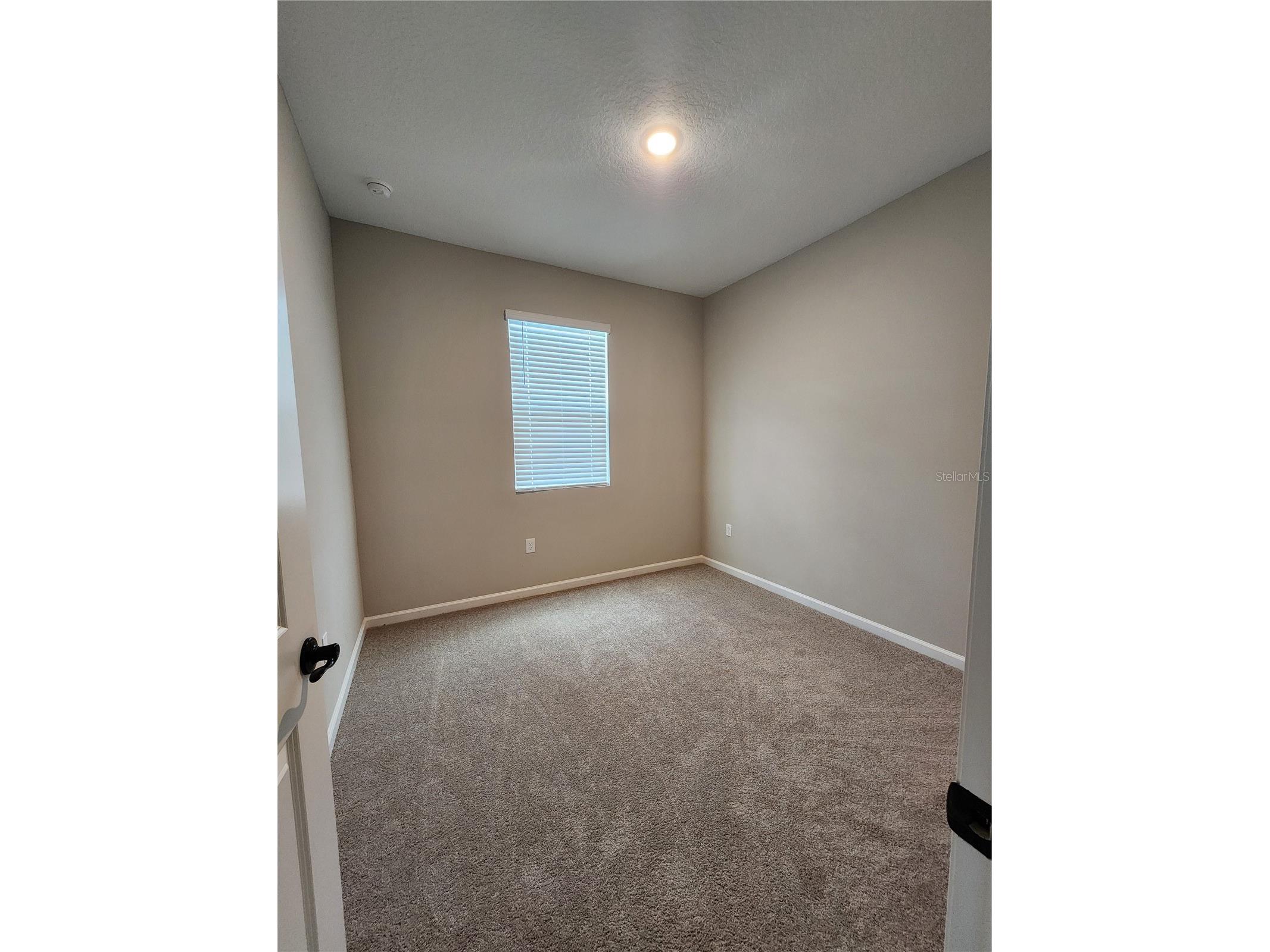 708 Griffon Avenue Lake Alfred FL 33850 OM725607 image17