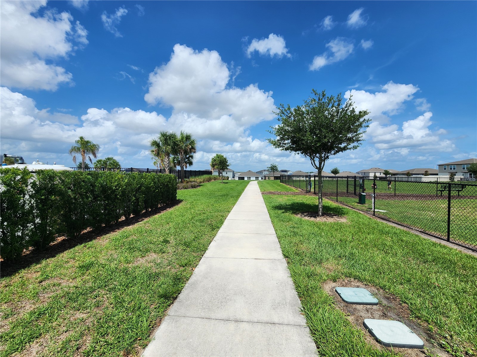 708 Griffon Avenue Lake Alfred FL 33850 OM725607 image33