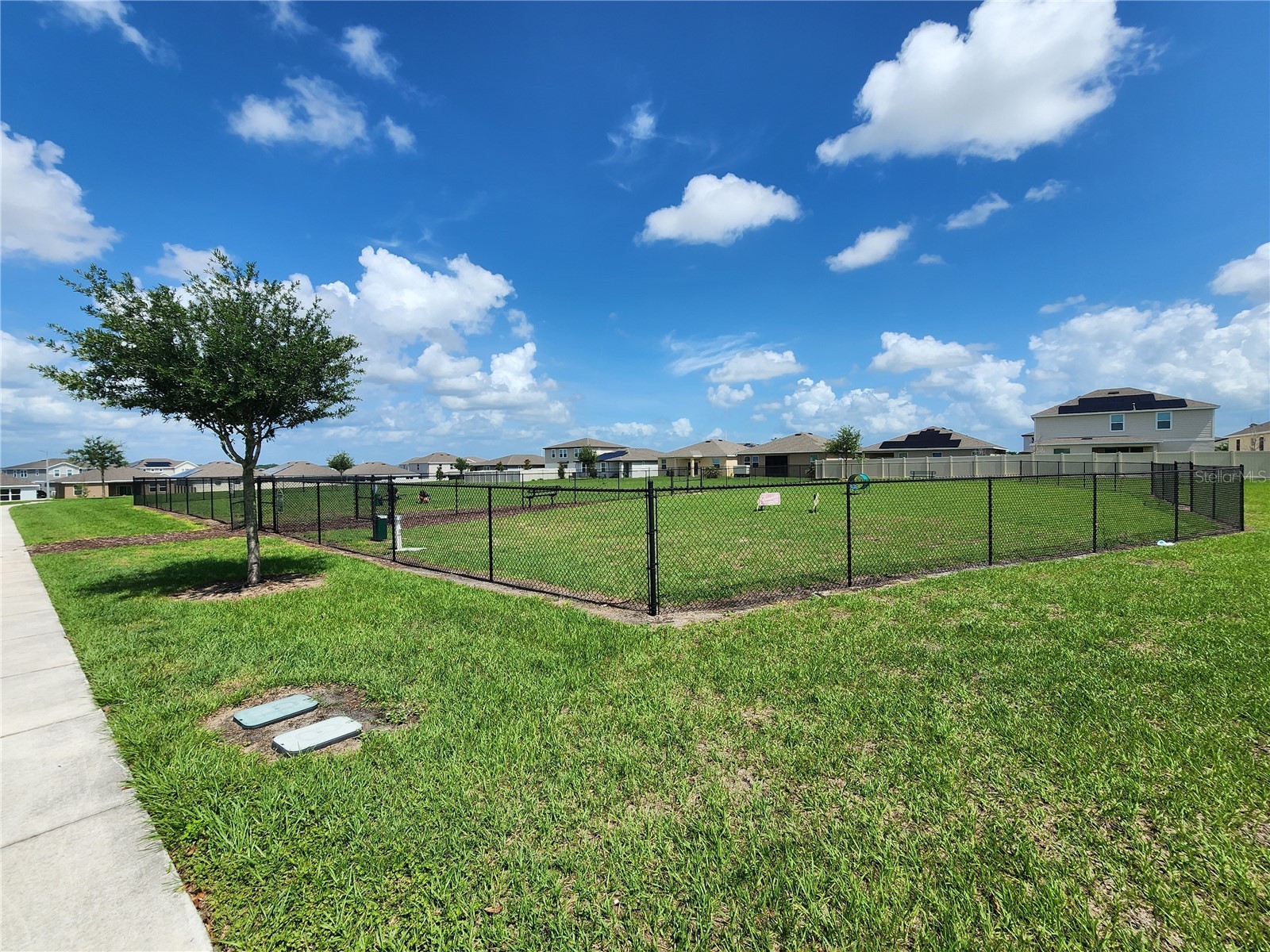 708 Griffon Avenue Lake Alfred FL 33850 OM725607 image34