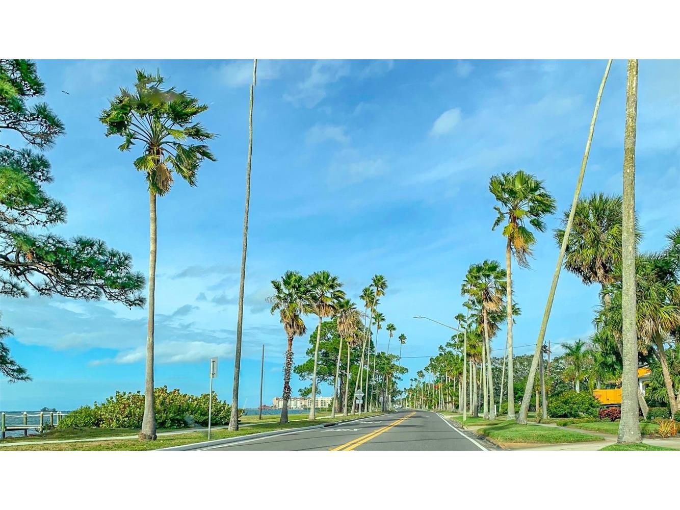 708 Lyndhurst #104 Dunedin FL 34698 TB8452369 image52