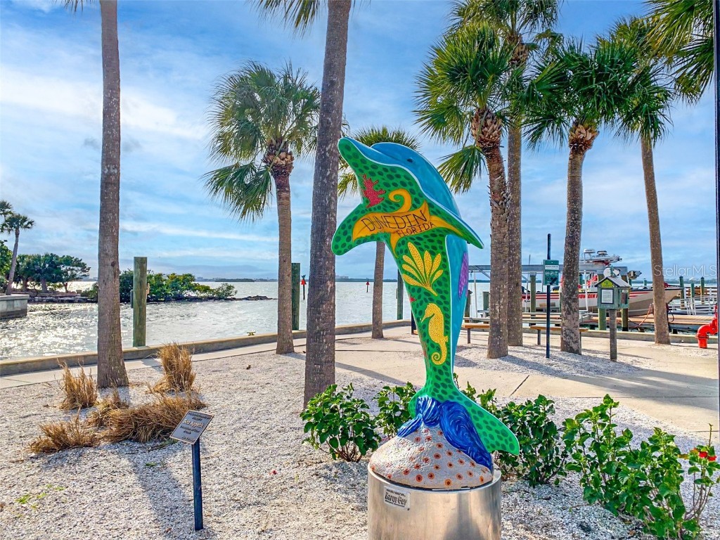 708 Lyndhurst #104 Dunedin FL 34698 TB8452369 image53