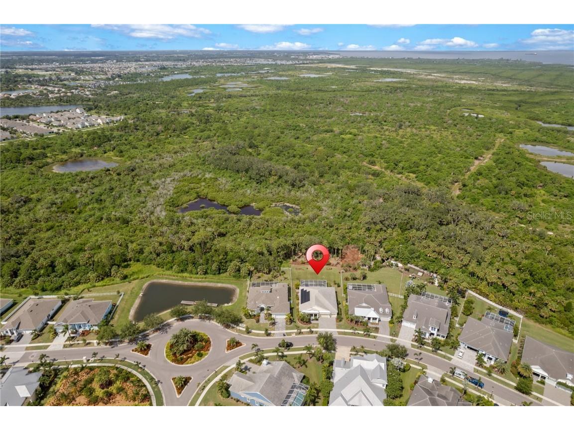 708 Manns Harbor Drive Apollo Beach FL 33572 TB8411593 image2