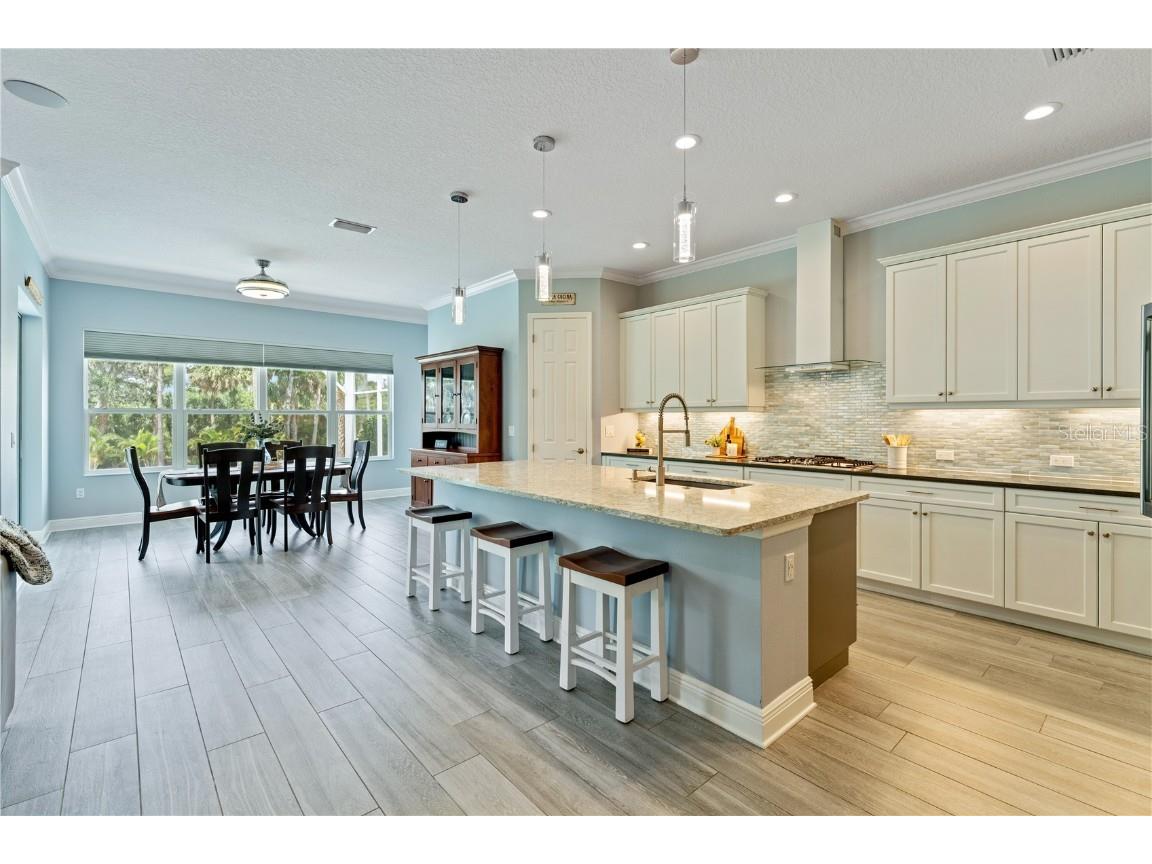 708 Manns Harbor Drive Apollo Beach FL 33572 TB8411593 image26