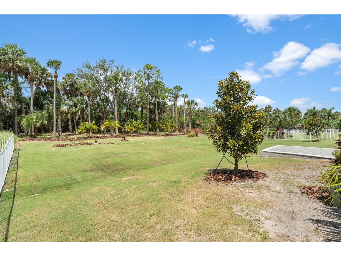 708 Manns Harbor Drive Apollo Beach FL 33572 TB8411593 image72