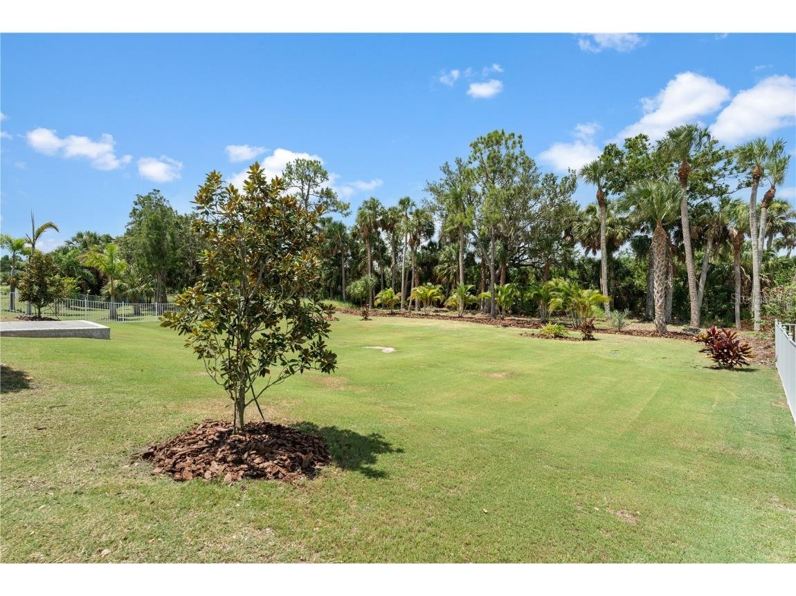 708 Manns Harbor Drive Apollo Beach FL 33572 TB8411593 image78