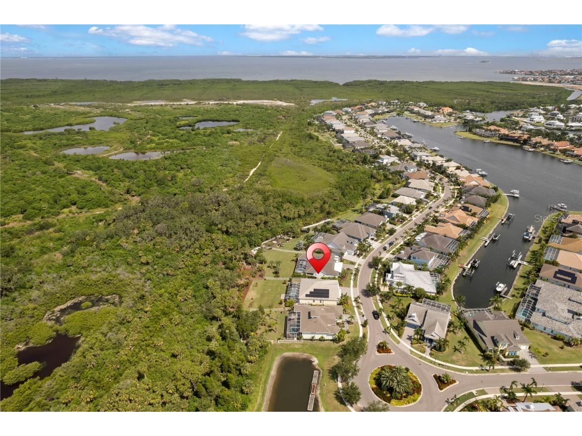 708 Manns Harbor Drive Apollo Beach FL 33572 TB8411593 image84