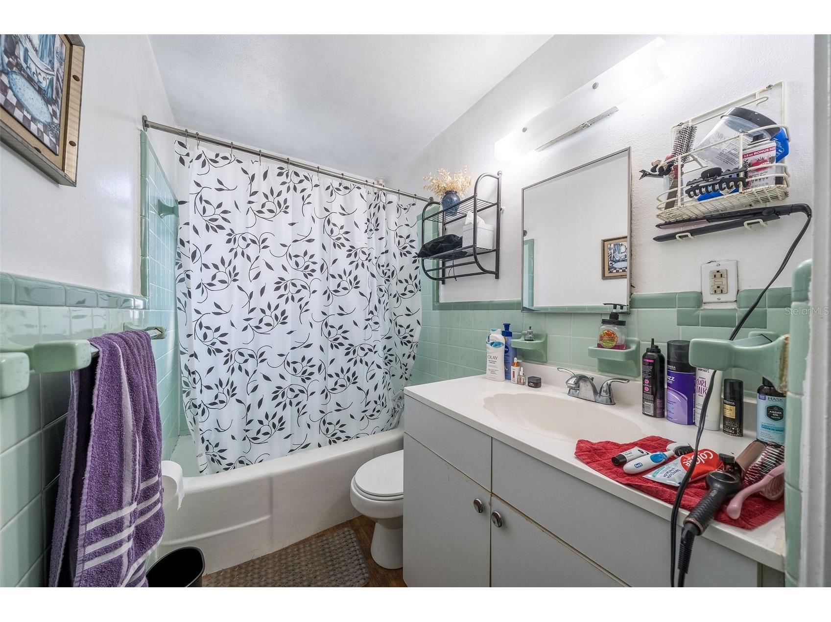 708 N Saint Clair Abrams Avenue Tavares FL 32778 O6373379 image27