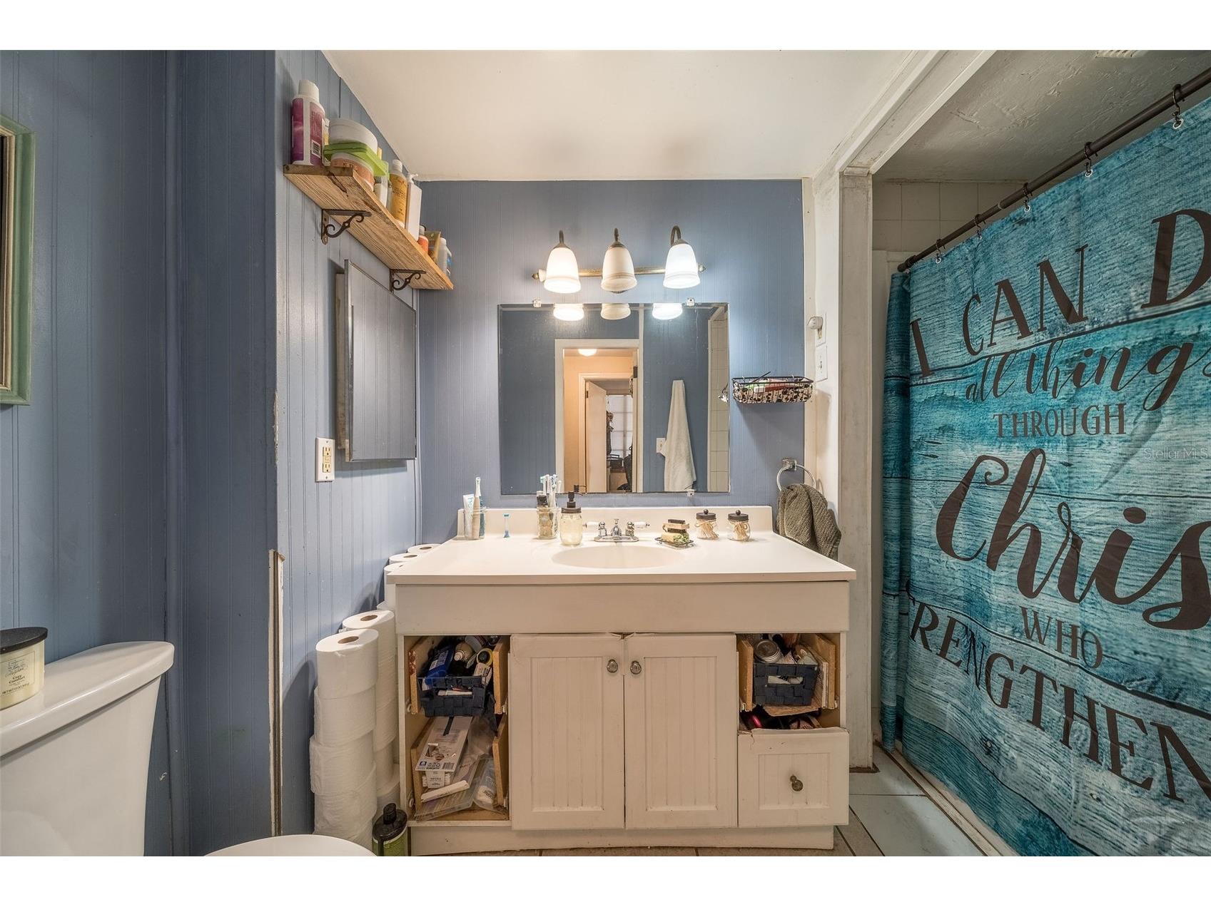 708 N Saint Clair Abrams Avenue Tavares FL 32778 O6373379 image6