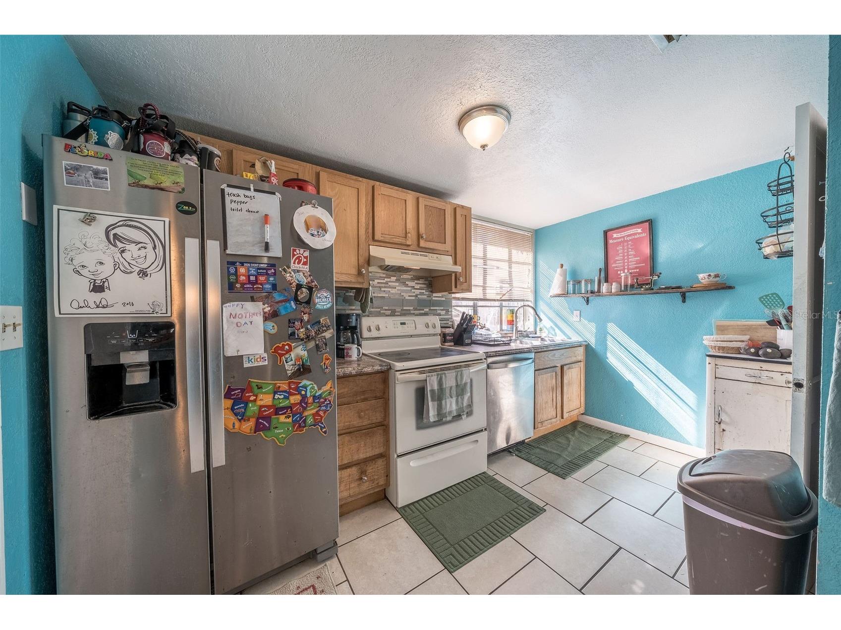 708 N Saint Clair Abrams Avenue Tavares FL 32778 O6373379 image7