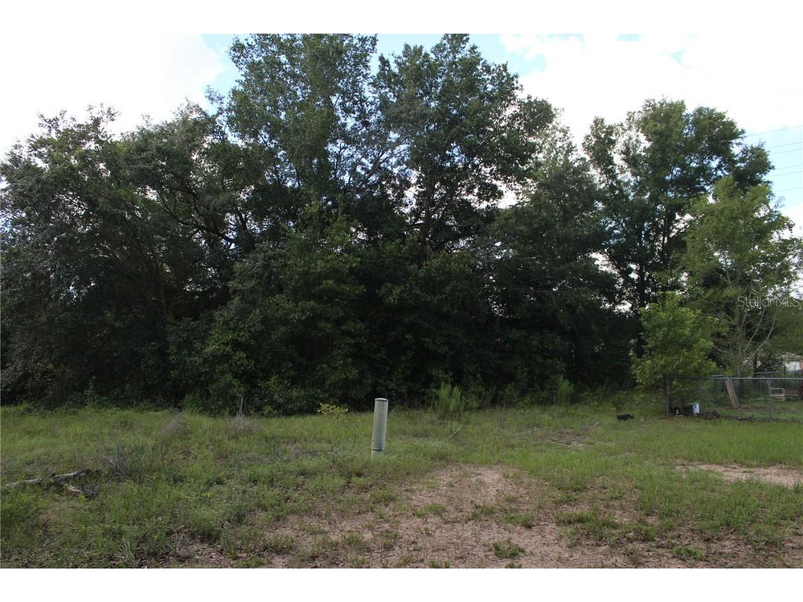 708 S Savary Avenue Inverness FL 34453 O6101855 image1