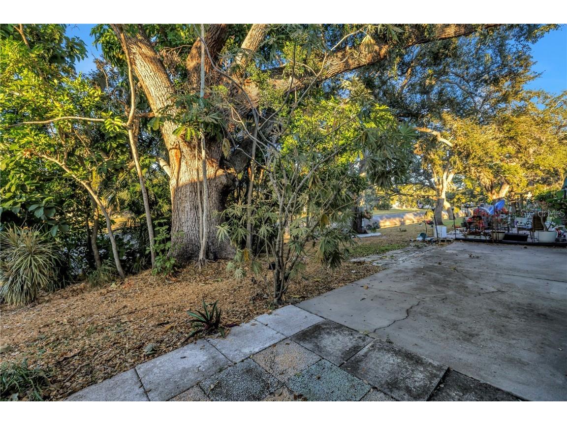 7081 Lafayette N #7081 Pinellas Park FL 33781 TB8446455 image32