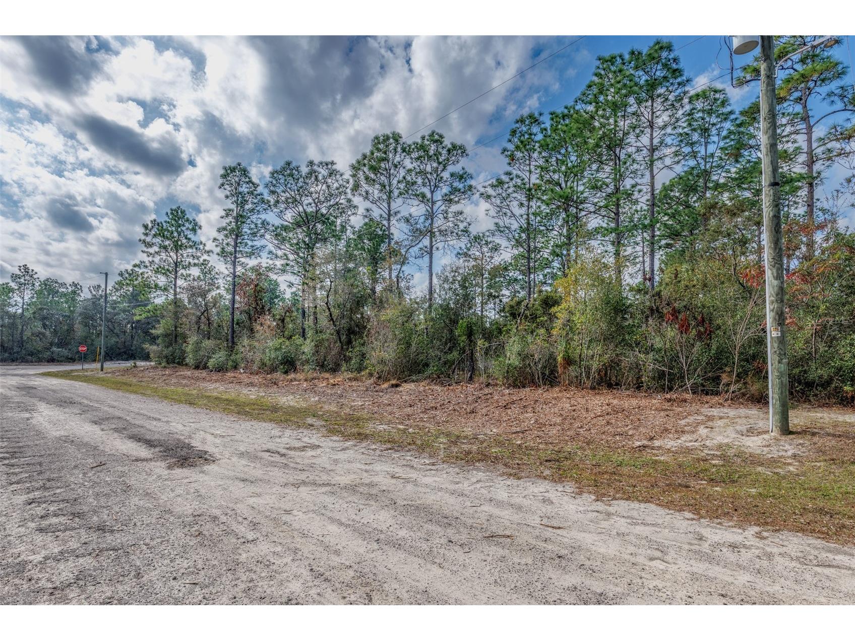 7082 N Treehaven Terrace Citrus Springs FL 34433 TB8461671 image10