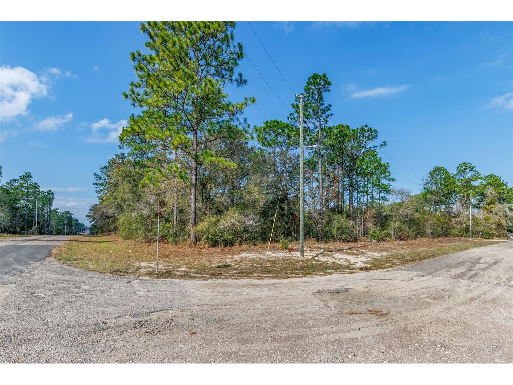 7082 N Treehaven Terrace Citrus Springs FL 34433 TB8461671 image12