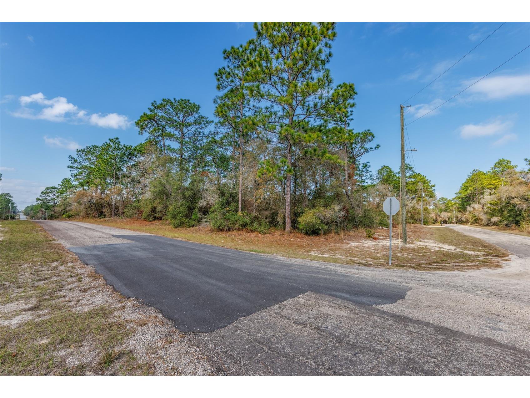 7082 N Treehaven Terrace Citrus Springs FL 34433 TB8461671 image13