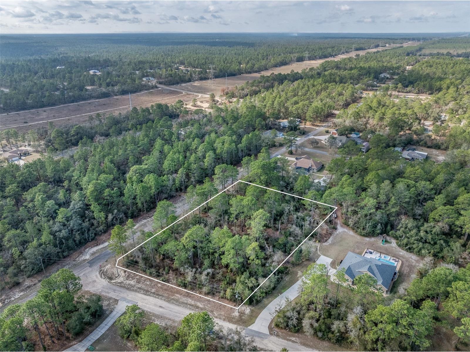 7082 N Treehaven Terrace Citrus Springs FL 34433 TB8461671 image3