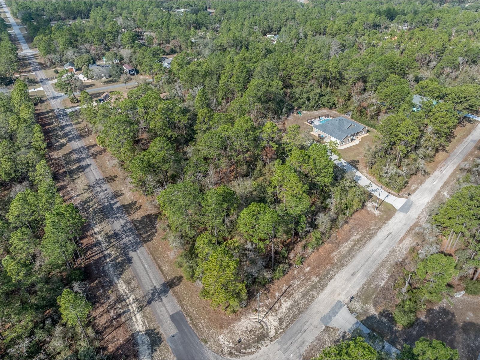 7082 N Treehaven Terrace Citrus Springs FL 34433 TB8461671 image5