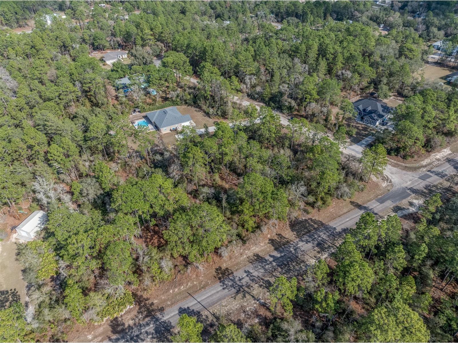 7082 N Treehaven Terrace Citrus Springs FL 34433 TB8461671 image7