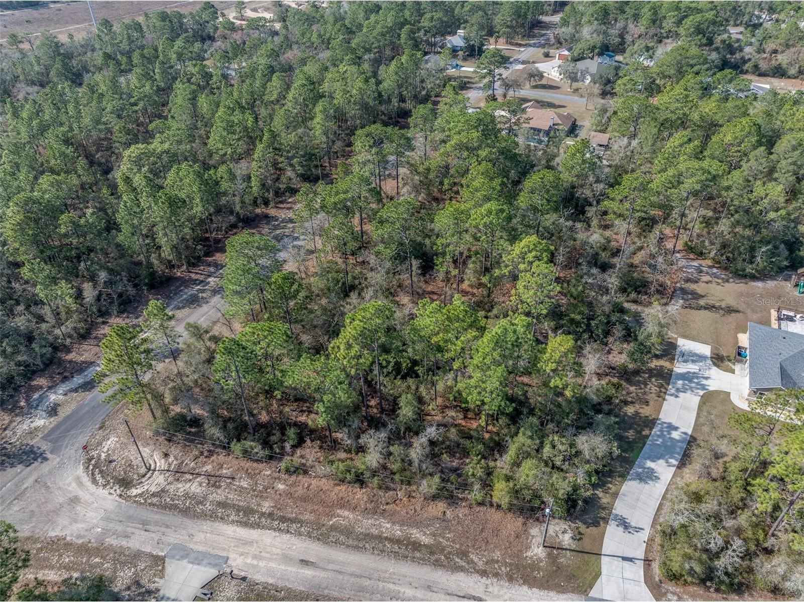 7082 N Treehaven Terrace Citrus Springs FL 34433 TB8461671 image9