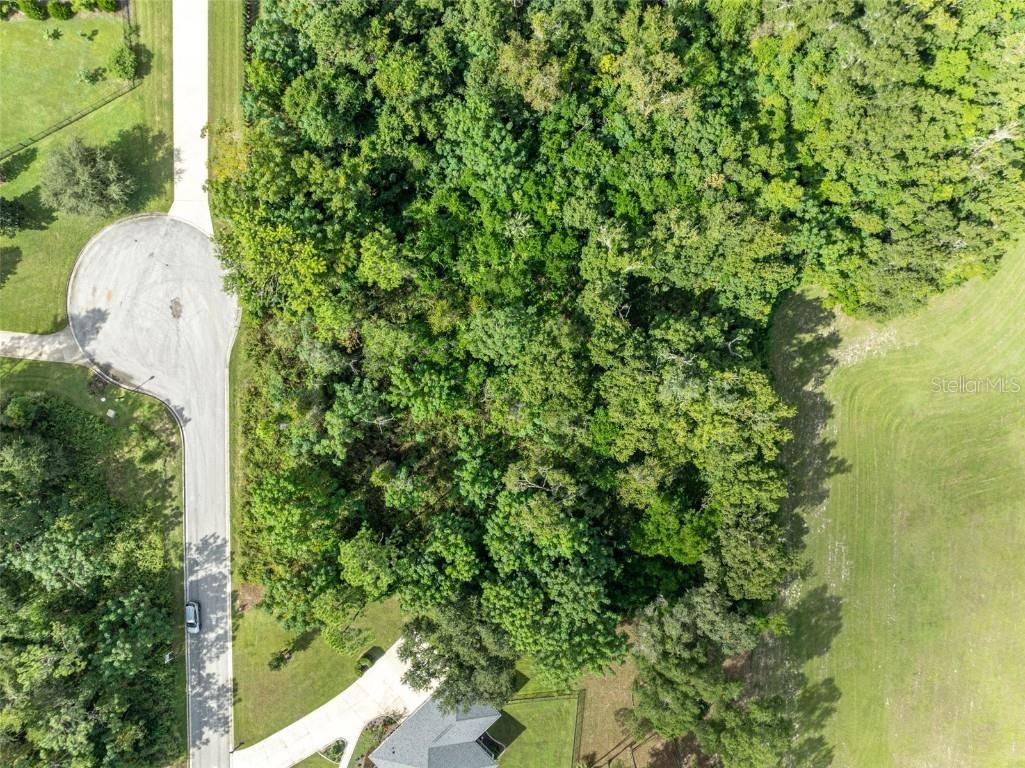 7082 Norne Lane Mount Dora FL 32757 O6352999 image3