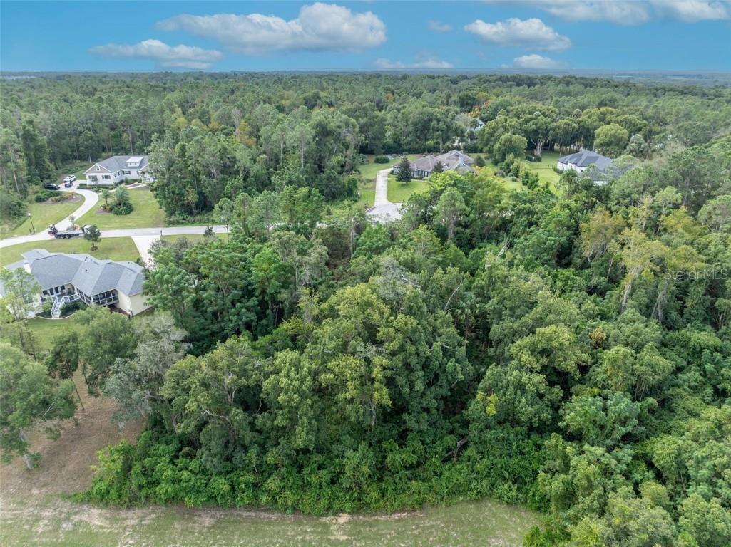 7082 Norne Lane Mount Dora FL 32757 O6352999 image8