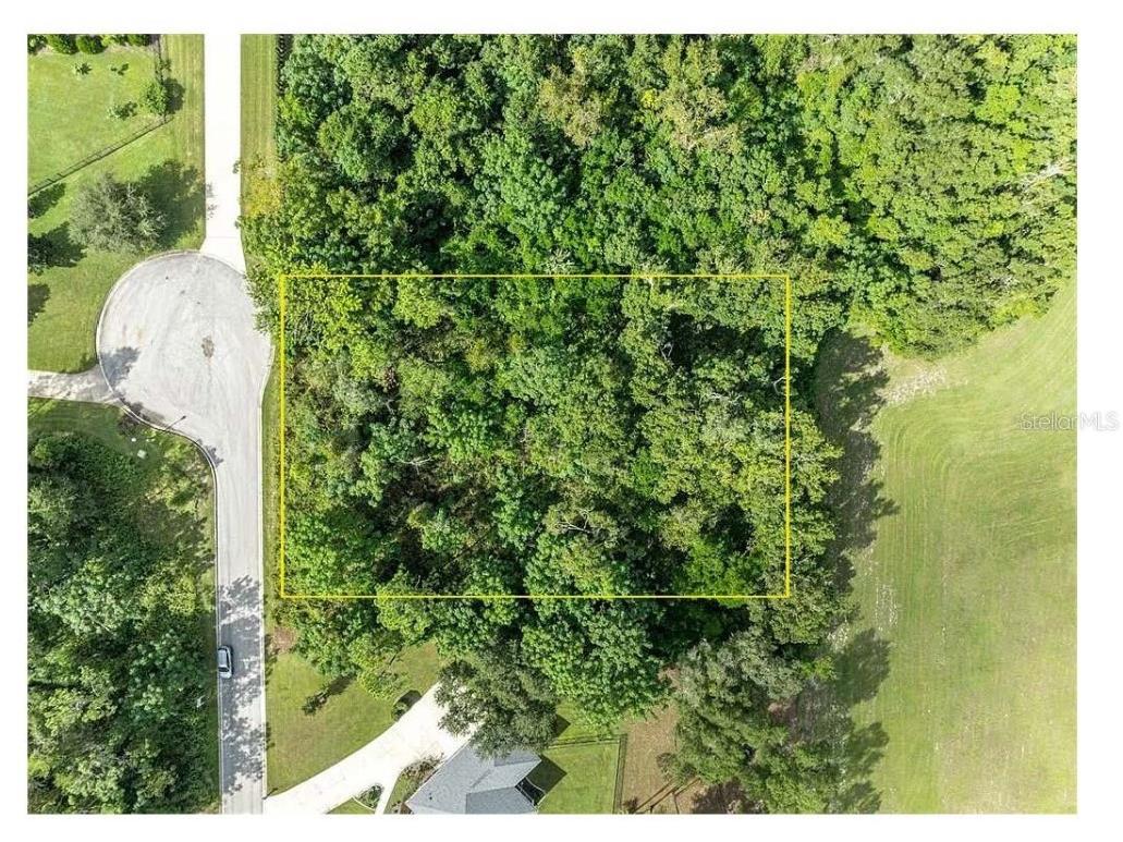 7082 Norne Lane Mount Dora FL 32757 O6352999 image9