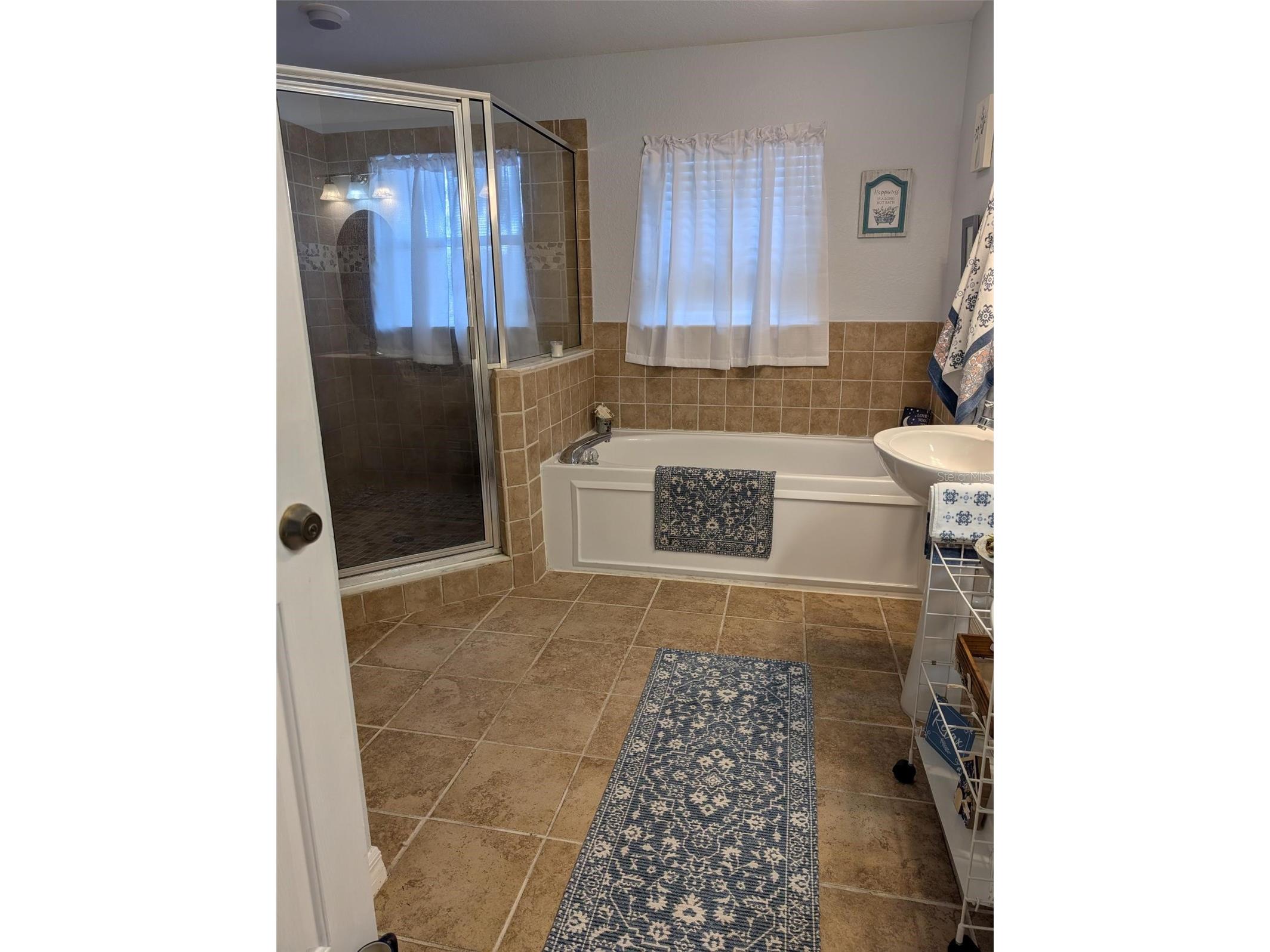 7083 SE 166th Avenue Ocklawaha FL 32179 OM725408 image33