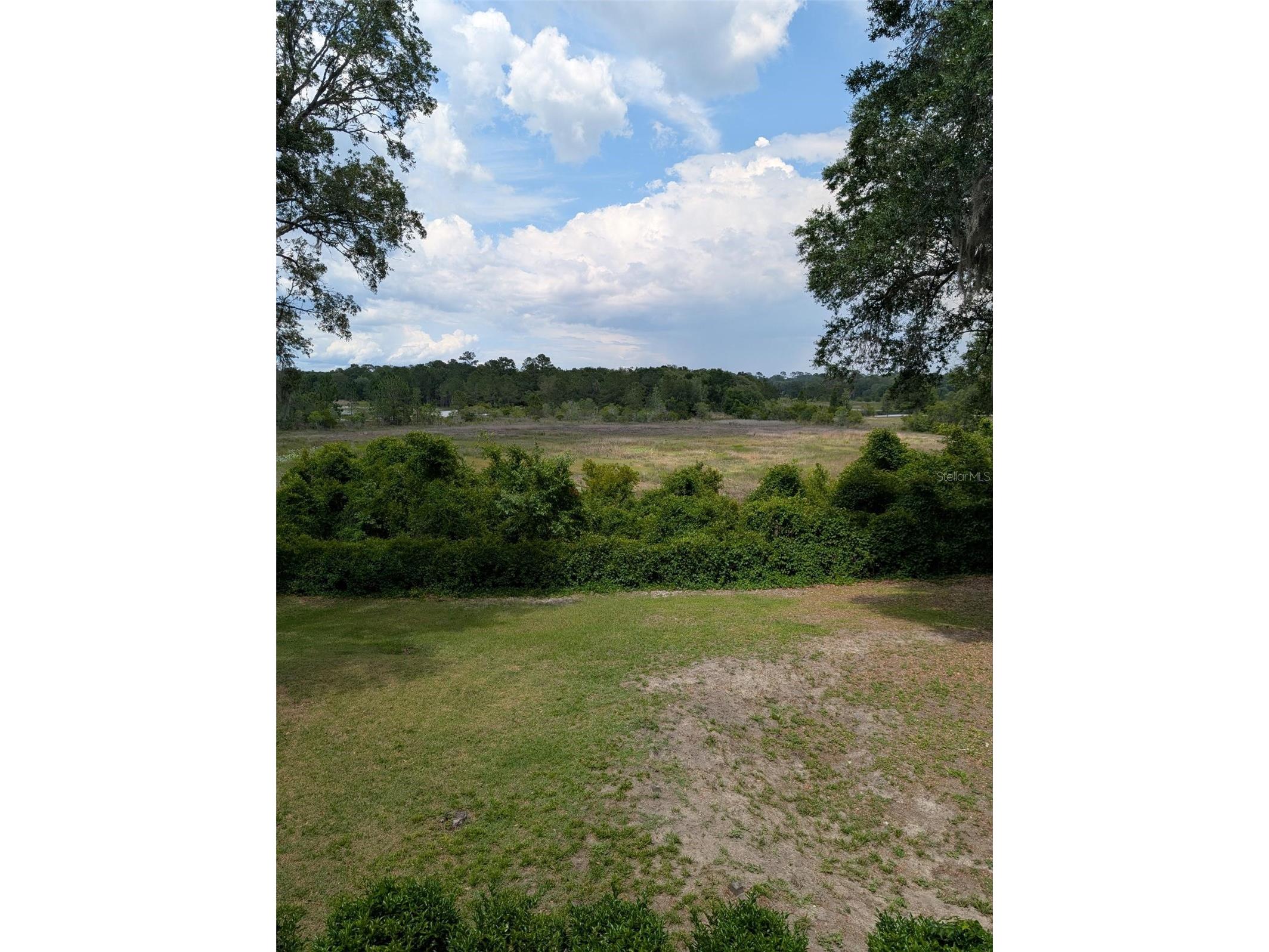 7083 SE 166th Avenue Ocklawaha FL 32179 OM725408 image42