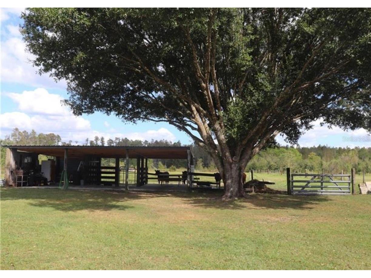 7083 Tall Pine Road Polk City FL 33868 G5113256 image20