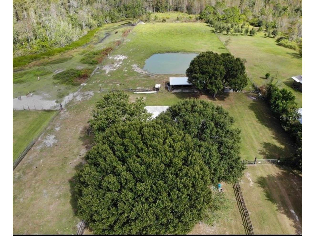 7083 Tall Pine Road Polk City FL 33868 G5113256 image3