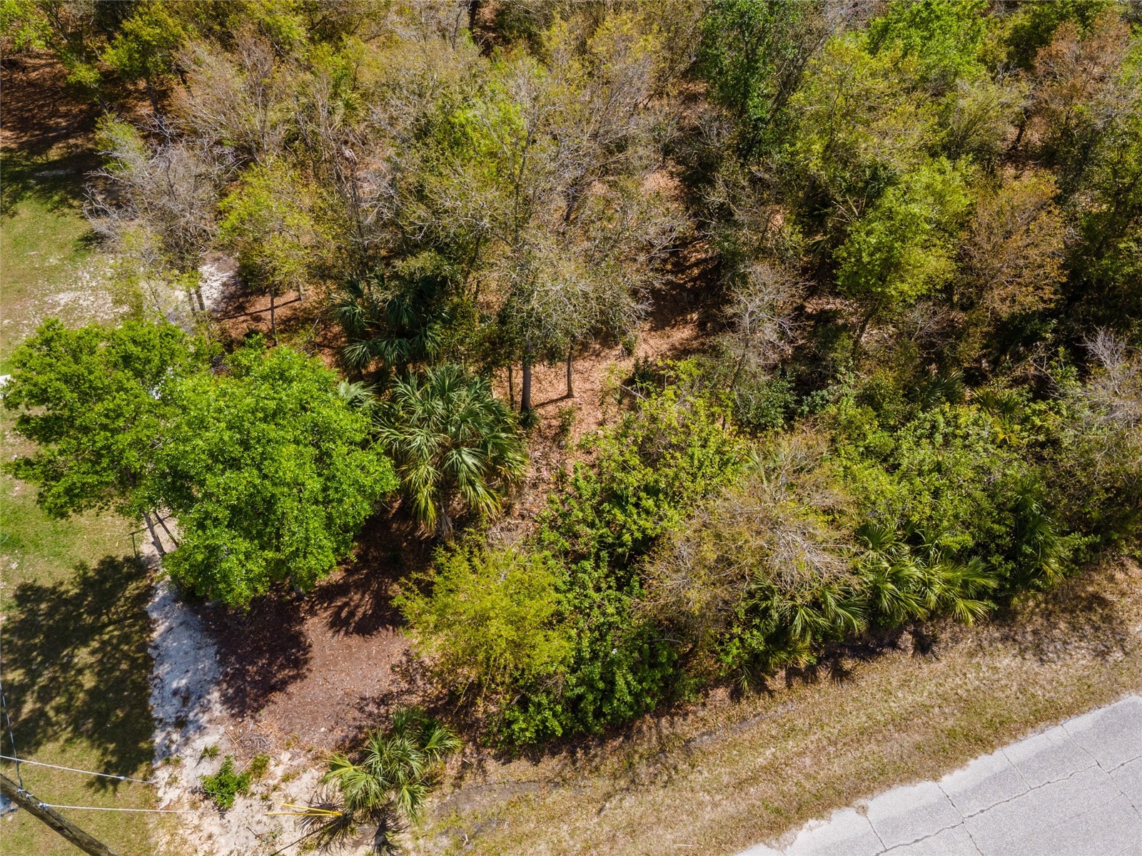 7084 Lippman Road Port Charlotte FL 33981 A4686225 image15