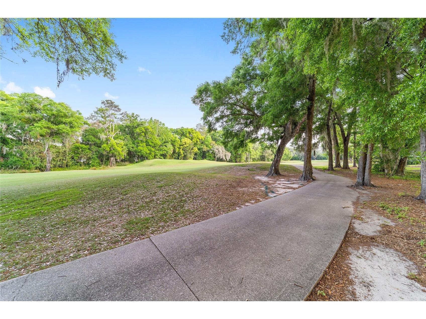 7086 SE 12th Circle Ocala FL 34480 OM675546 image53