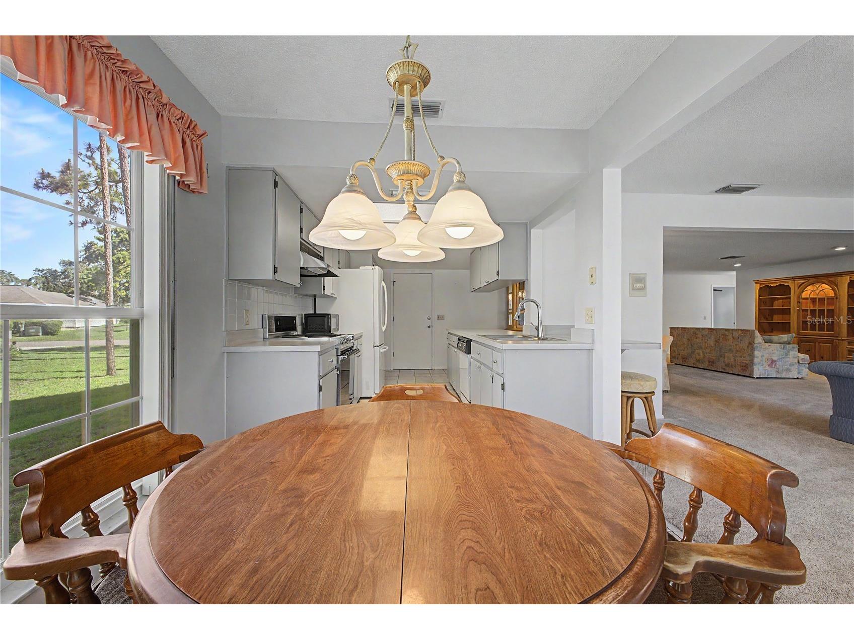 7088 Crown Oaks Drive Spring Hill FL 34606 W7885655 image21