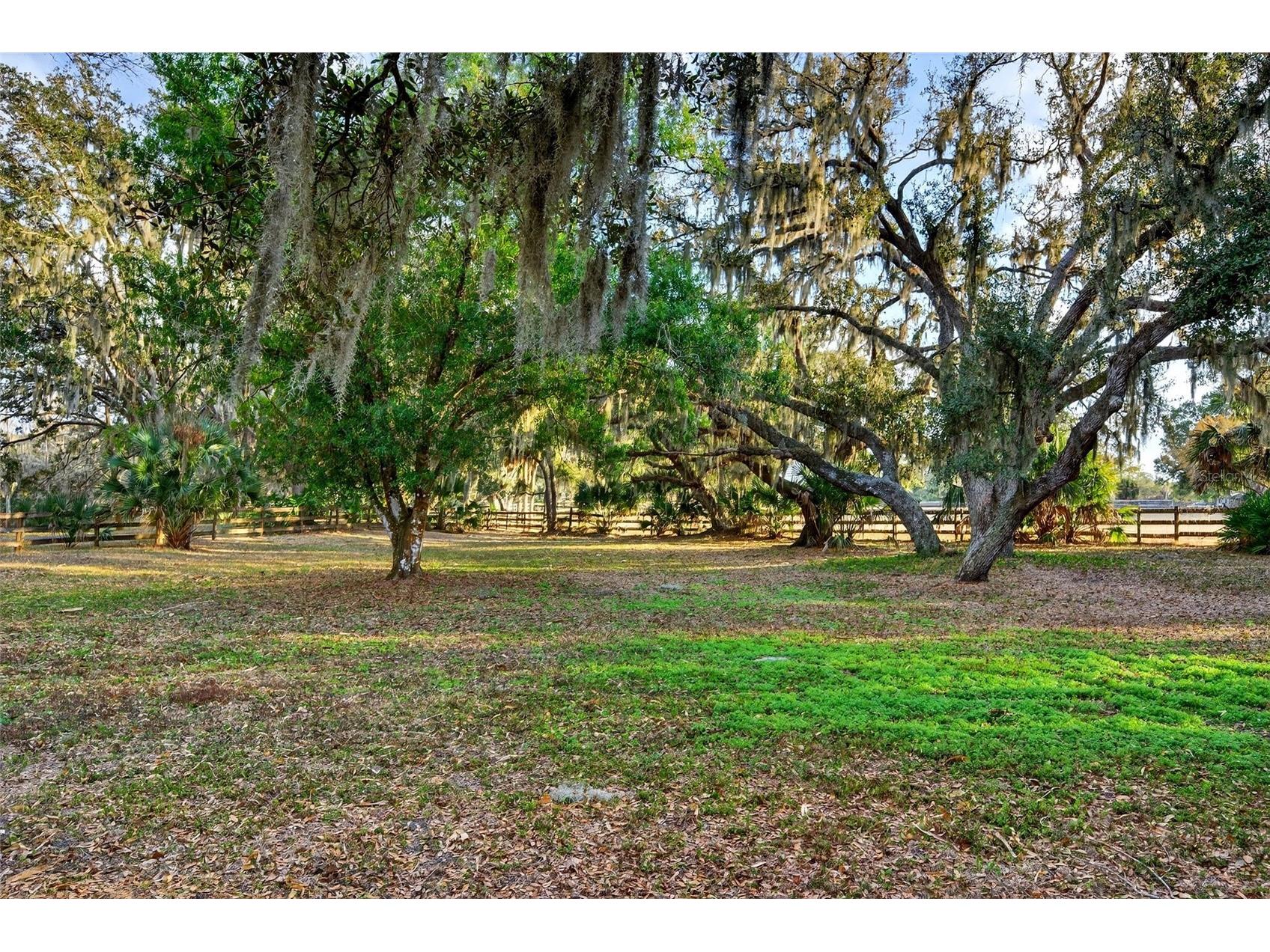 7088 Saddle Creek Lane Sarasota FL 34241 A4685080 image66