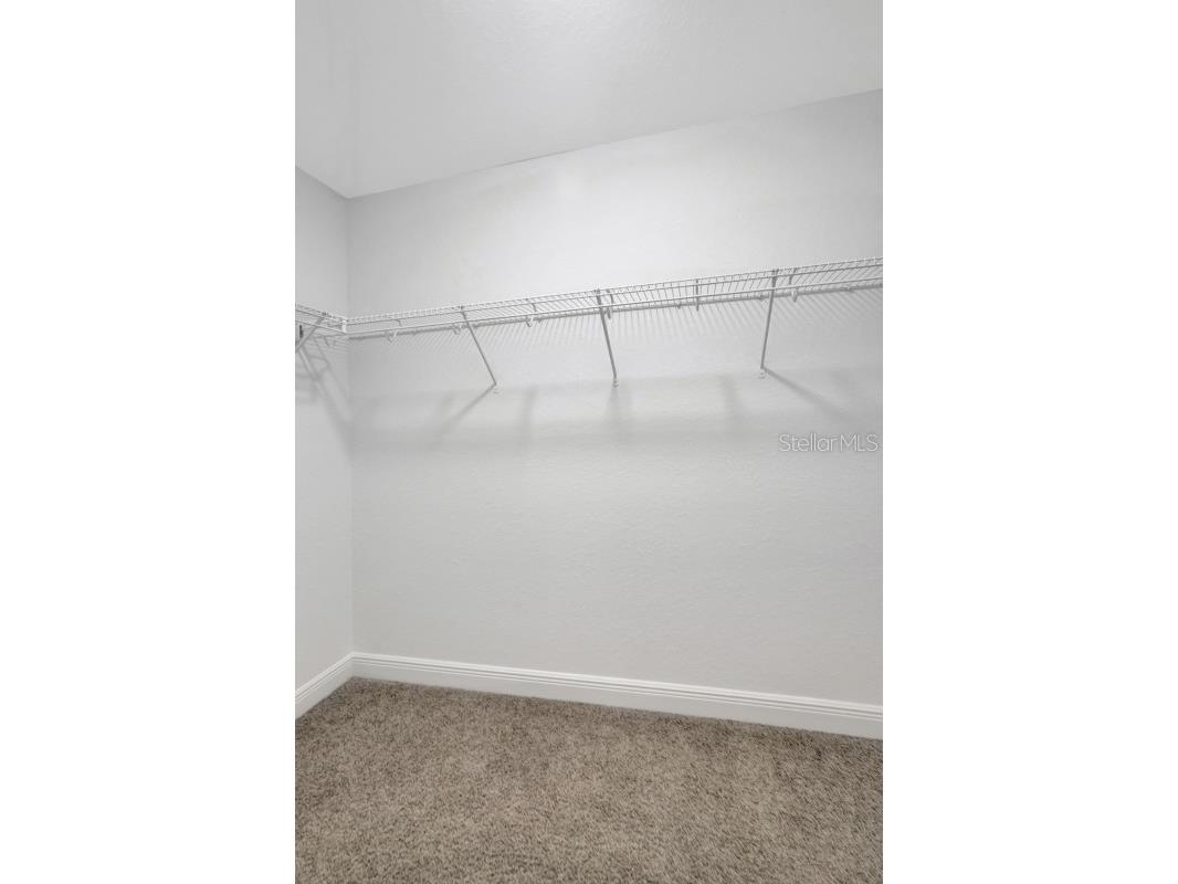 7088 Wirevine Drive Brooksville FL 34602 A4699361 image26
