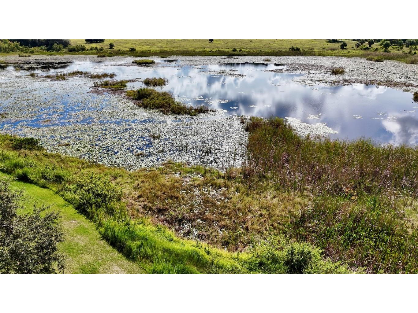 7089 Number Two Road Yalaha FL 34797 G5101347 image13