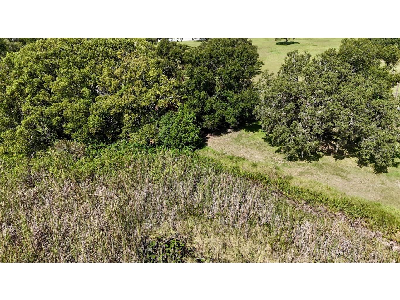 7089 Number Two Road Yalaha FL 34797 G5101347 image16