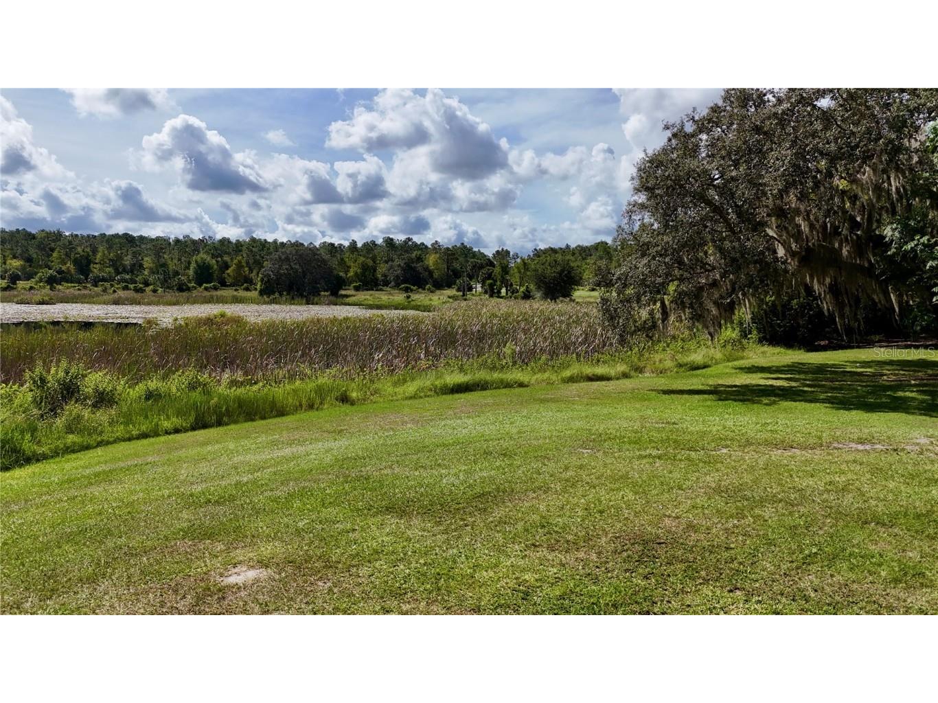 7089 Number Two Road Yalaha FL 34797 G5101347 image8